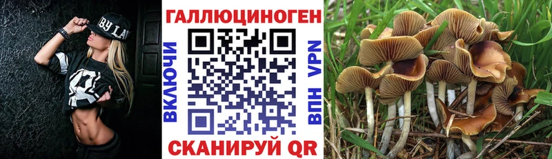 Псилоцибиновые грибы MAGIC MUSHROOMS  Разумное 